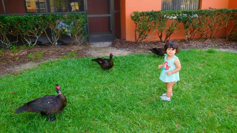 <center>Florida 2018 (22)</center>